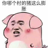 健身狗老渐